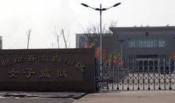 《寒冬》：李向红刑期虽已结束，但报复机器却并未停止运转